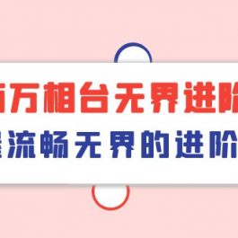 （10315期）电商 万相台无界进阶课，掌握流畅无界的进阶策略（41节课）