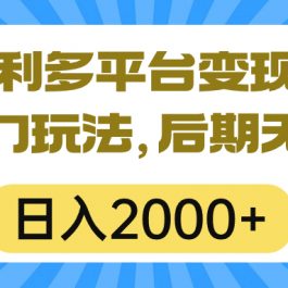 （10311期）一本万利多平台变现，市面所有热门玩法，日入2000+，后期无上限！