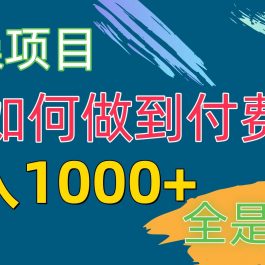 （10303期）付费群赛道，日入1000+