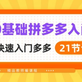 （10299期）新人0基础拼多多入门，​纯小白快速入门多多（21节课）