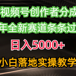 （10294期）视频号创作者分成最新玩法，日入5000+  下半年全新赛道条条过原创，小…