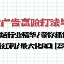 （10287期）谷歌广告高阶打法与优化，凝结行业精华/带你抓住流量红利/最大化ROI(23节)