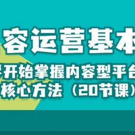 （10285期）内容运营-基本功：从零开始掌握内容型平台运营核心方法（20节课）