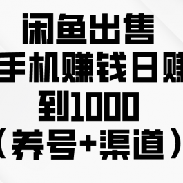 （10269期）闲鱼出售二手手机赚钱，日赚500到1000（养号+渠道）