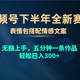 （10267期）视频号下半年全新赛道，表情包搭配情感文案 无脑上手，五分钟一条作品…