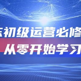 （10261期）京东初级运营必修课程，从零开始学习