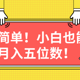 （10257期）超简单图文项目！小白也能月入五位数