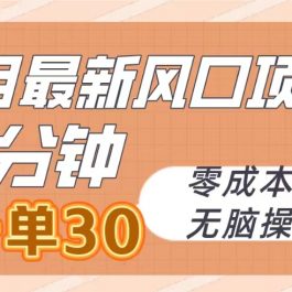 （10256期）五月最新风口项目，3分钟一单30，零成本，无脑操作