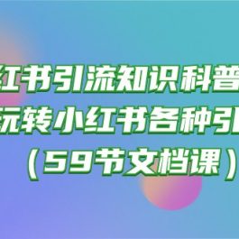 （10223期）小红书引流知识科普合集，带你玩转小红书各种引流方法（59节文档课）