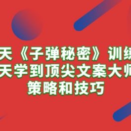 （10209期）21天《子弹秘密》训练营，21天学到顶尖文案大师的策略和技巧