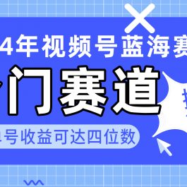 （10195期）2024视频号冷门蓝海赛道，操作简单 单号收益可达四位数（教程+素材+工具）