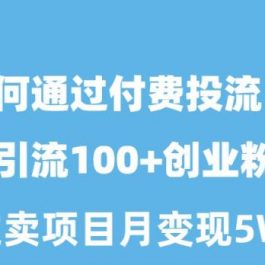 （10189期）如何通过付费投流日引流100+创业粉月变现5W+