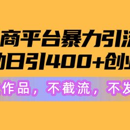 （10168期）电商平台暴力引流,被动日引400+创业粉不发作品，不截流，不发私信