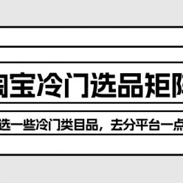 （10159期）淘宝冷门选品矩阵玩法：换种玩法，选一些冷门类目品，去分平台一点羹