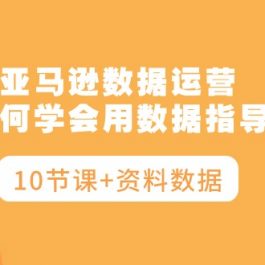 （10158期）亚马逊数据运营，小白如何学会用数据指导运营（10节课+资料数据）