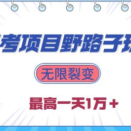 （10150期）2024高考项目野路子玩法，无限裂变，最高一天1W＋！