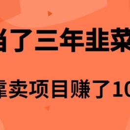 （10149期）当了3年韭菜，我靠卖项目赚了100万