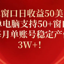 （10144期）单窗口日收益50美刀，单电脑支持50+窗口，每月单账号稳定产值3W+！