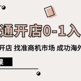 （10126期）速卖通开店0-1入门，新手快速开店 找准商机市场 成功海外掘金（8节课）