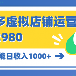 （10120期）拼多多虚拟店铺运营：小白也能日收入1000+