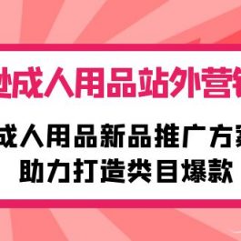 （10108期）亚马逊成人用品站外营销推广，成人用品新品推广方案，助力打造类目爆款