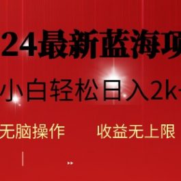 （10106期）2024蓝海项目ai自动生成视频分发各大平台，小白操作简单，日入2k+