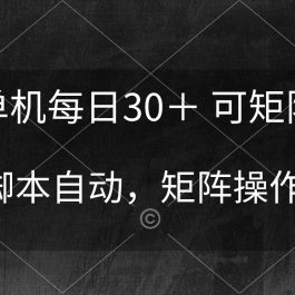 （10100期）单机每日30＋ 可矩阵，脚本自动 稳定躺赚