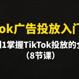 （10085期）TikTok广告投放入门教程，从0到1掌握TikTok投放的全流程（8节课）