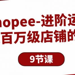 （10083期）Shopee-进阶运营：打造百万级店铺的技巧（9节课）