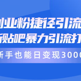 （10070期）创业粉捷径引流术，最新贴吧暴力引流打法，新手也能日变现3000+附赠全…