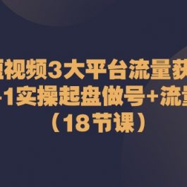 （10873期）短视频3大平台·流量 获客：从0-1实操起盘做号+流量 创收（18节课）