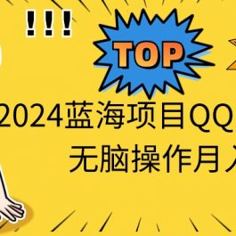 （10862期）2024蓝海项目QQ美女短视频无脑操作月入3W+