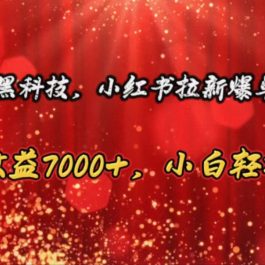 （10860期）蓝海黑科技，小红书拉新爆单玩法，单日收益7000+，小白轻松上手