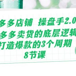 （10859期）拼多多店铺 操盘手2.0新课，拼多多卖货的底层逻辑，打造爆款的3个周期-8节