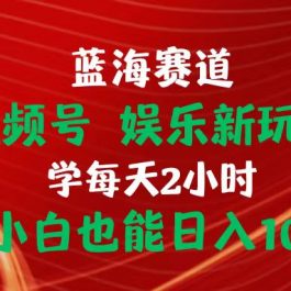 （10818期）蓝海赛道视频号 娱乐新玩法每天2小时小白也能日入1000+