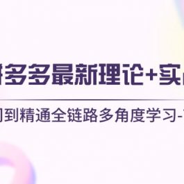 （10816期）2024拼多多 最新理论+实战干货，从入门到精通全链路多角度学习-7节课