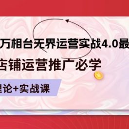 2024万相台无界运营实战4.0最新版，店铺运营推广必修 理论+实操