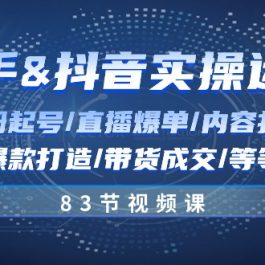 快手与抖音实操运营：注册起号/直播爆单/内容打造/爆款打造/带货成交/83节