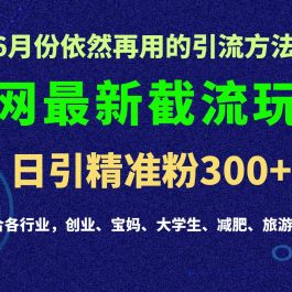 2024全网最新截留玩法，每日引流突破300+