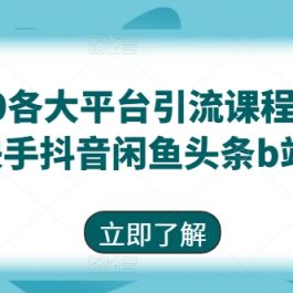 最新9.0各大平台引流课程(小红书快手抖音闲鱼头条b站)