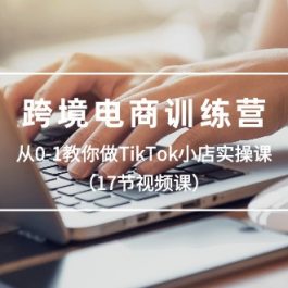 跨境电商训练营：从0-1教你做TikTok小店实操课（17节视频课）