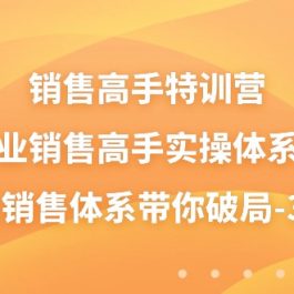 销售高手特训营，美业销售高手实操体系课，三大销售体系带你破局（38节）