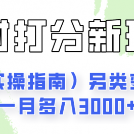 身材颜值打分新玩法（实操指南）另类变现一月多入3000+