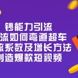 钞 能 力 引 流：投流弯道超车，投流系数及增长方法，创造爆款短视频（20节）