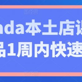 Lazada本土店课程，新品1周内快速出单