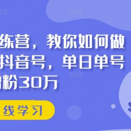 抖音实训训练营，教你如何做一个赚钱的抖音号，单日单号增粉30万