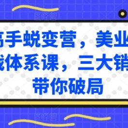 销售高手蜕变营，美业销售高手实战体系课，三大销售体系带你破局