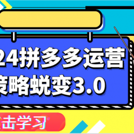 2024拼多多运营策略蜕变3.0-提升拼多多认知、制定运营策略、实现盈利收割等