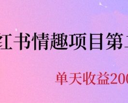 （6648期）最近爆火小红书情趣项目第二版，每天2000+