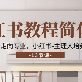 小红书教程简化版，从0开始走向专业，小红书主理人培养计划 (13节)